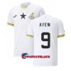 Virallinen Fanipaita Ghana Ayew 9 Jordan Kotipelipaita MM-Kisat 2022 - Miesten